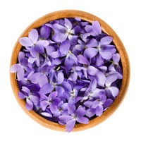 https://old.s72gin.com/wp-content/uploads/2018/10/violet-flower.jpg
